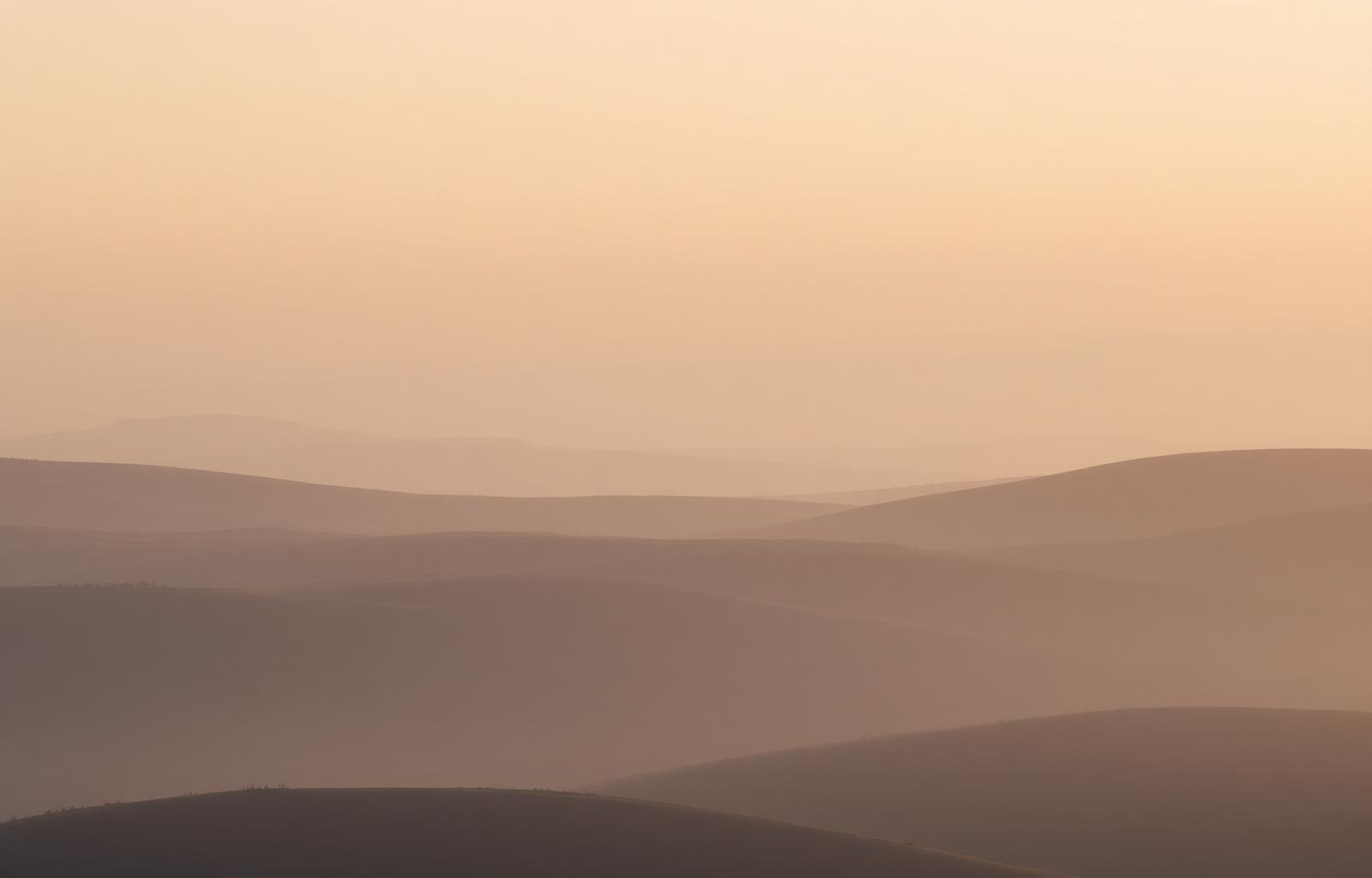 Quiet natural path representing spiritual emergence, uncertainty, and gradual integration.